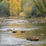 17-200-metres-to-the-Ovens-River-and-its--miles-of-riverside-tracks