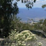 14-Daytrip-to-nearby-Mt-Buffalo